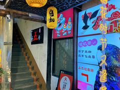 -吉丁鸟咖·异宠·寄养