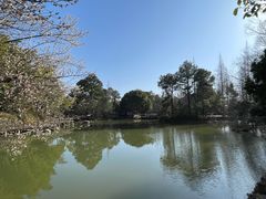 -宝岩生态观光园