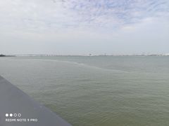 -大湾区中央湿地公园