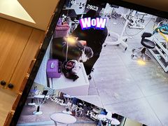 -爱派特动物医院·全科诊疗中心