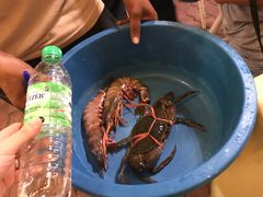 -真浪花园海鲜餐馆