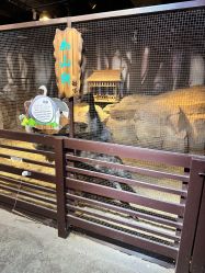 点击看大图 -酷嗒动物文化乐园(cutezoo西溪乐天城店)