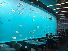 -瑞德姆美人鱼海底演艺主题餐厅(亚龙湾店)