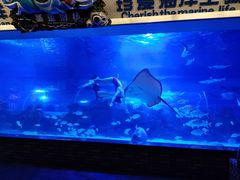 -成都浩海立方海洋公园