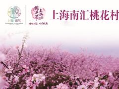 -南汇桃花村