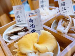 黑鸡枞菌-阿婆情腊排骨火锅·野生菌季(古城旗舰店)