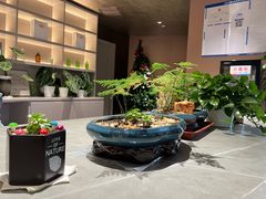 -Sips&Lick茶兰咖啡(五道口店)