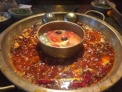 -小龙坎火锅(双林店)