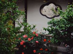 -芥子园