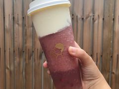 多肉石榴2.0-喜茶(上海打浦桥日月光gelato lab+店)