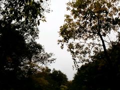 android_upload_pic-广州市石门国家森林公园