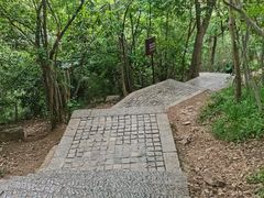 -紫金山天文台