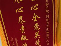 -博特宠物医院24h犬猫全科.骨科·异宠