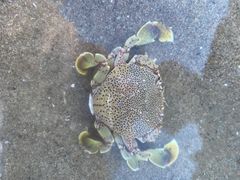 -南澳海滩