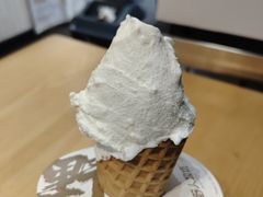 -野人先生现做冰淇淋(北京顺义祥云小镇店)