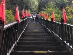 -天女山森林公园