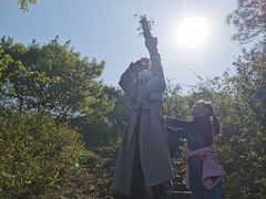 -灵岩山风景区