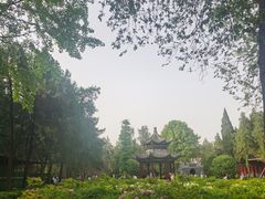 -洛阳白马寺