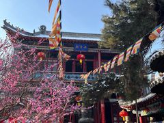 -北山公园
