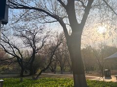 -长春公园(普阳街道)