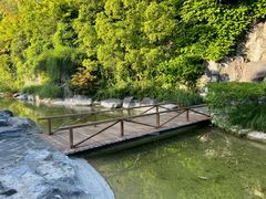 -上海吴淞炮台湾国家湿地公园