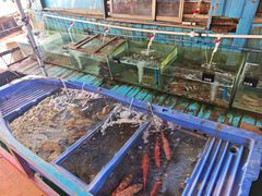 -蓝湾碧波·老字号·疍家非遗海上餐厅