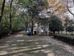 -紫霞湖公园