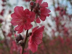 -水濂山森林公园