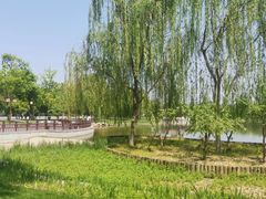-西海子公园