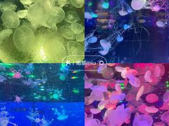 -正佳极地海洋世界