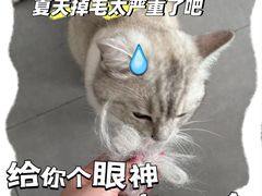 -佩兹宠物医院肿瘤专科·眼科·牙科(黄浦店)