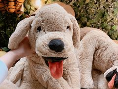 -宜家家居（上海徐汇商场店）-停车场