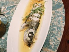 -金枝玉叶上海人家食府(三里河店)