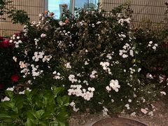 -范特西FANTASY量贩式KTV(民主广场店)
