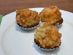 -丁老爷子苏香圆