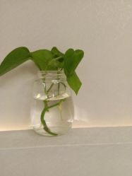 -悦色美甲美睫·精品
