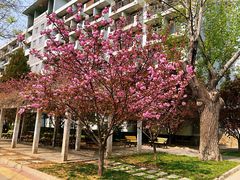 -北京航空航天大学-图书馆