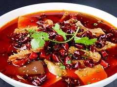 精品毛血旺-天堂鸟水煮鱼(经南三路店)