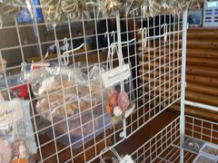 -蓝湾碧波·老字号·疍家非遗海上餐厅