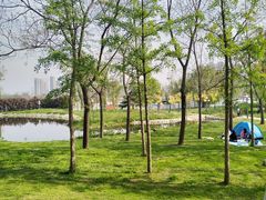 -咸阳湖景区-古渡公园