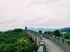 -黄贤森林公园