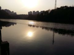 -重庆彩云湖湿地公园