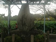 -上野公园花园稻荷神社(忍岡稲荷神社)