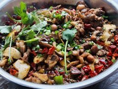 -食神又名厕所兔