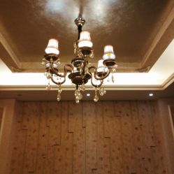 -悦芳庭美肤美体品牌集合店