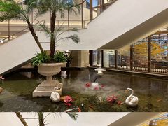 -广州白天鹅宾馆