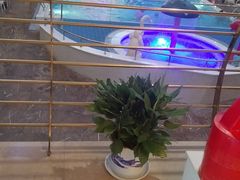 -海韵之星邮轮水会(明发商业广场店)