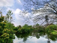 -西溪国家湿地公园