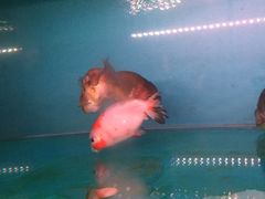 -酷麦私人订制KTV