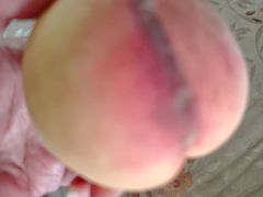 -南汇新场正宗水蜜桃采摘